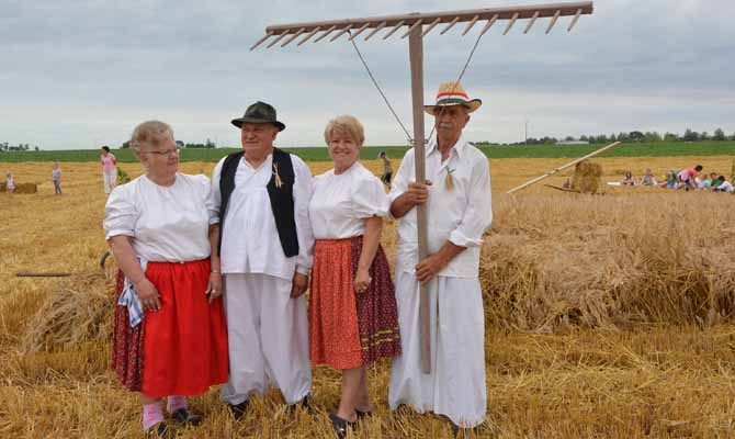 Hagyományos Aratás Szenttamáson 2016. június 18. képek